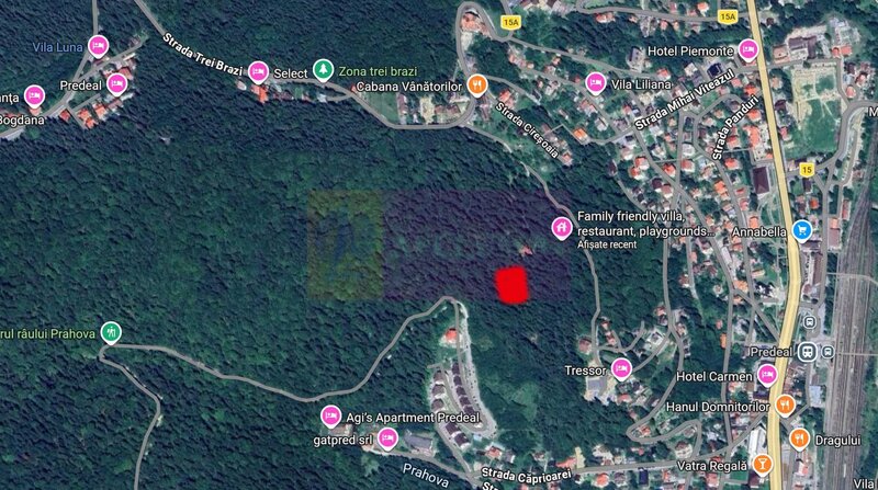 Teren de vanzare in Predeal
