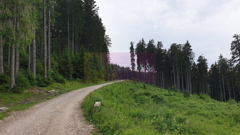 Teren de vanzare in Predeal